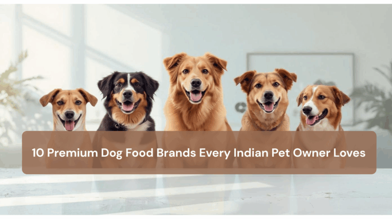 Top 10 Premium Dog Food Brands Every Indian Pet Owner Loves in 2026